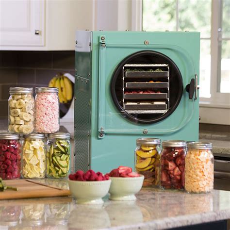 inexpensive home freeze dryer.